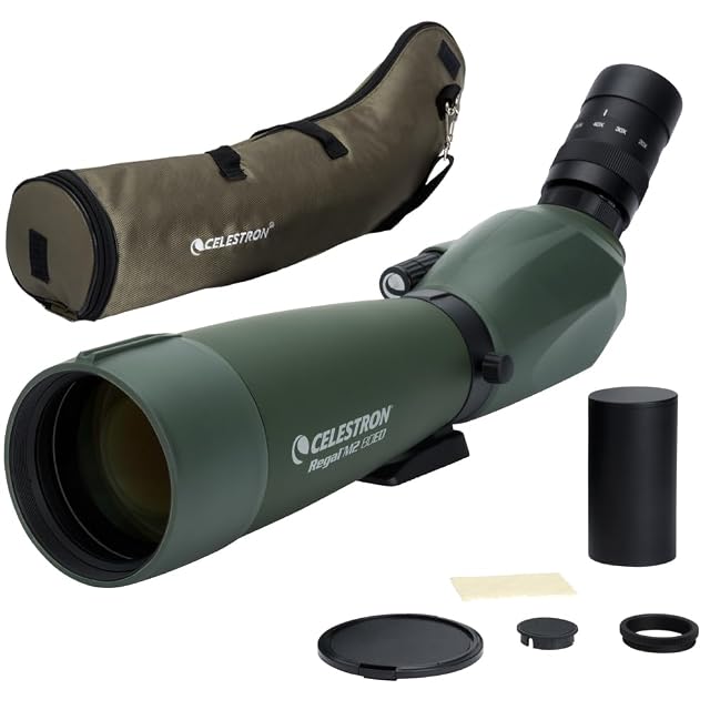 Celestron Regal M2 20-60×80 ED Spektiv in Grün